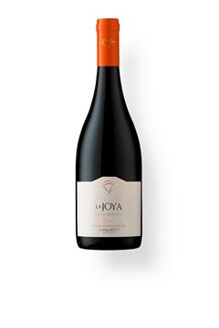 VIN BISQUERTT LA JOYA SYRAH TN SC 750ML