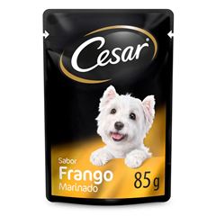 CESAR SACHE AD FRG MARINADO 20X85G
