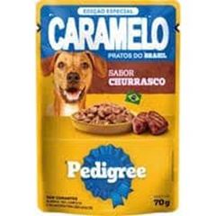 PEDIGREE SACHE AD CAR CHURRASCO 70G